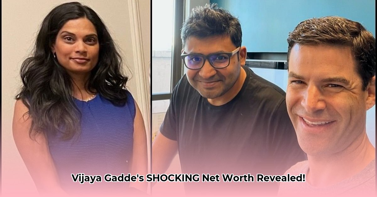 vijaya-gadde-net-worth